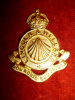 M72a - Lincoln & Welland Regiment Officer's Gilt Cap Badge